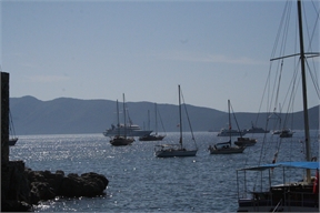 IMG_8205
